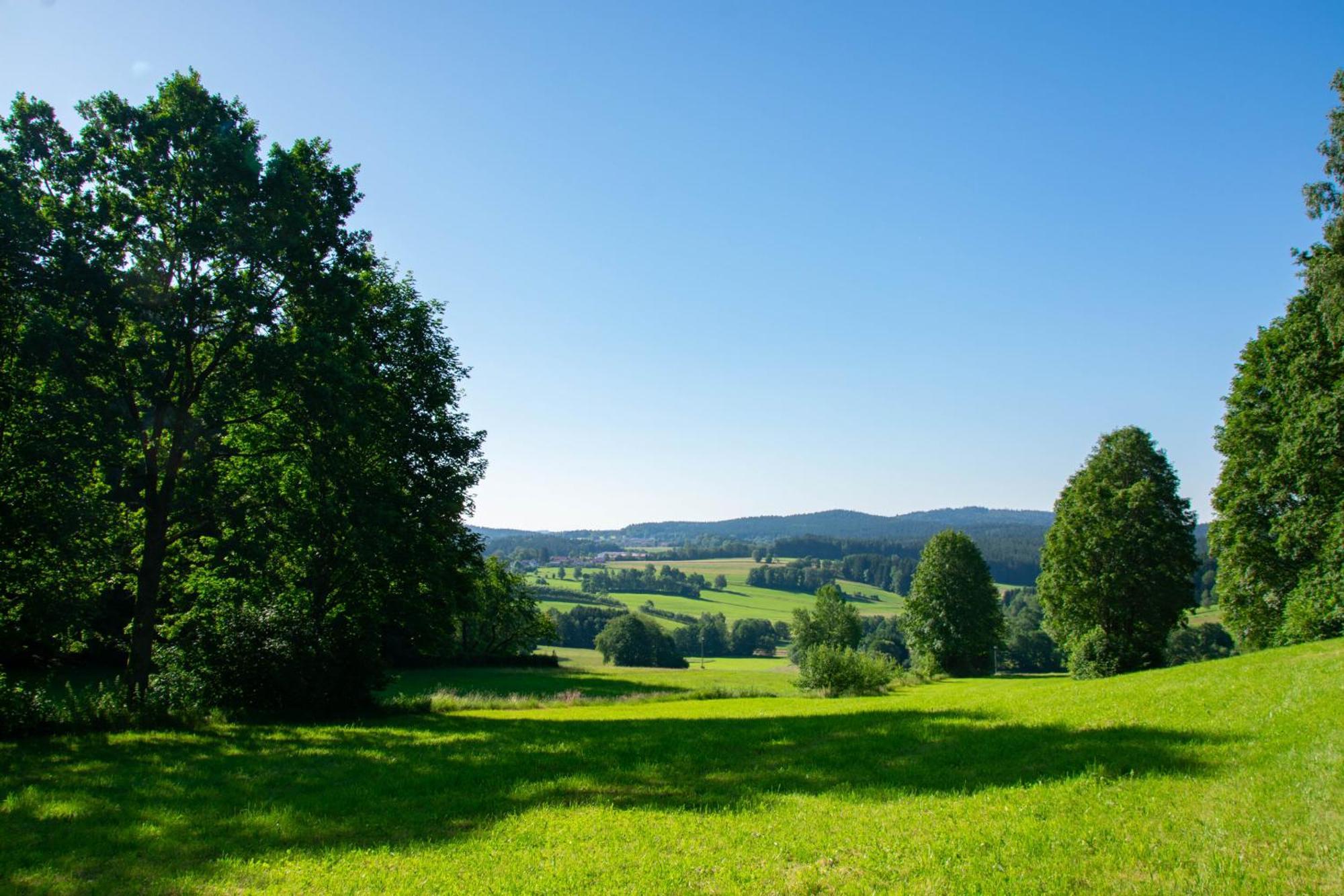 Naturchalets 7 Sentidos Bischofsmais Dış mekan fotoğraf